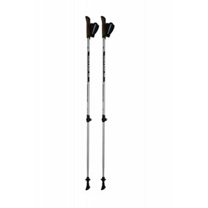 BLIZZARD-Alu Performance nordic walking poles, silver/black